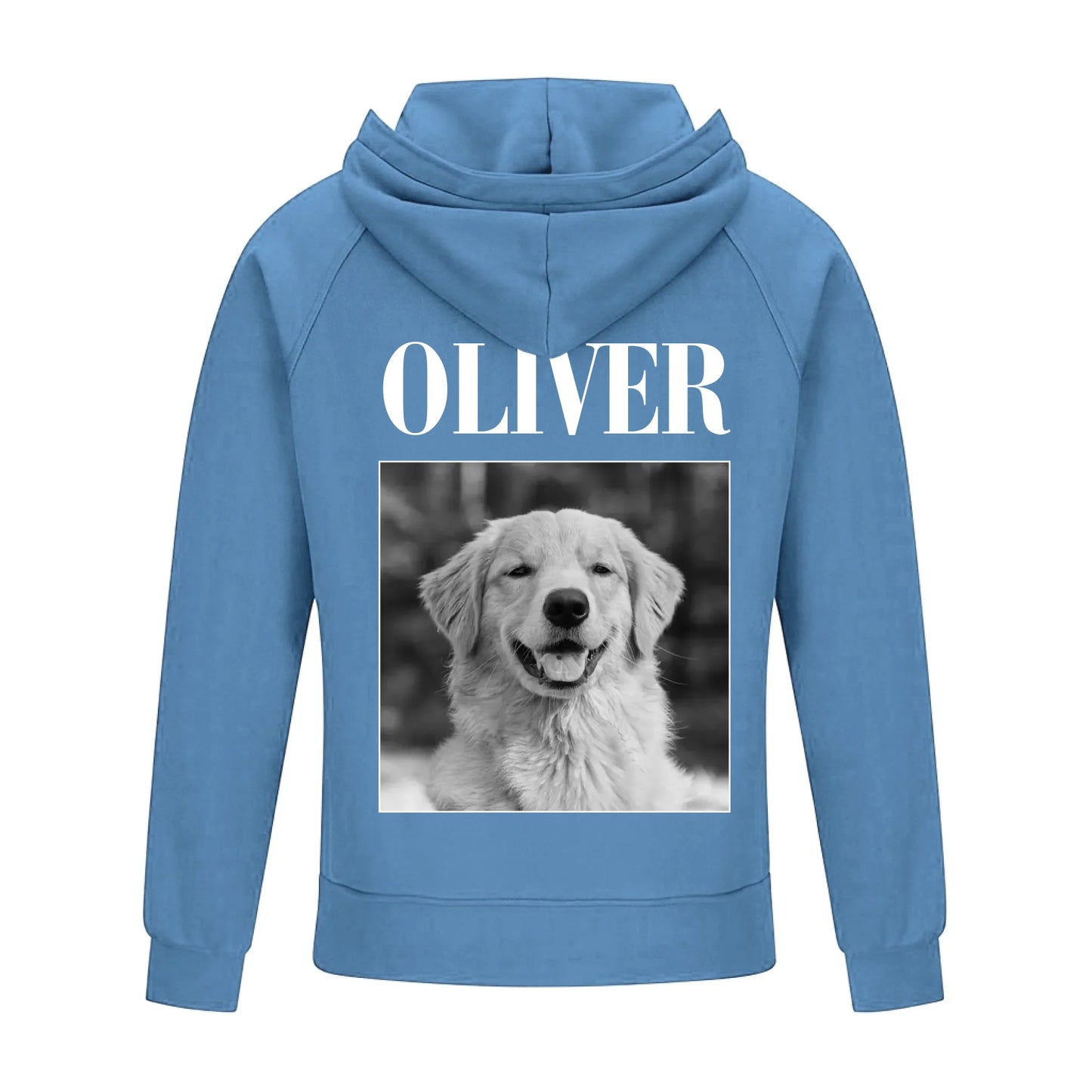 2D Vintage Quarter Zip Hoodie -Blue