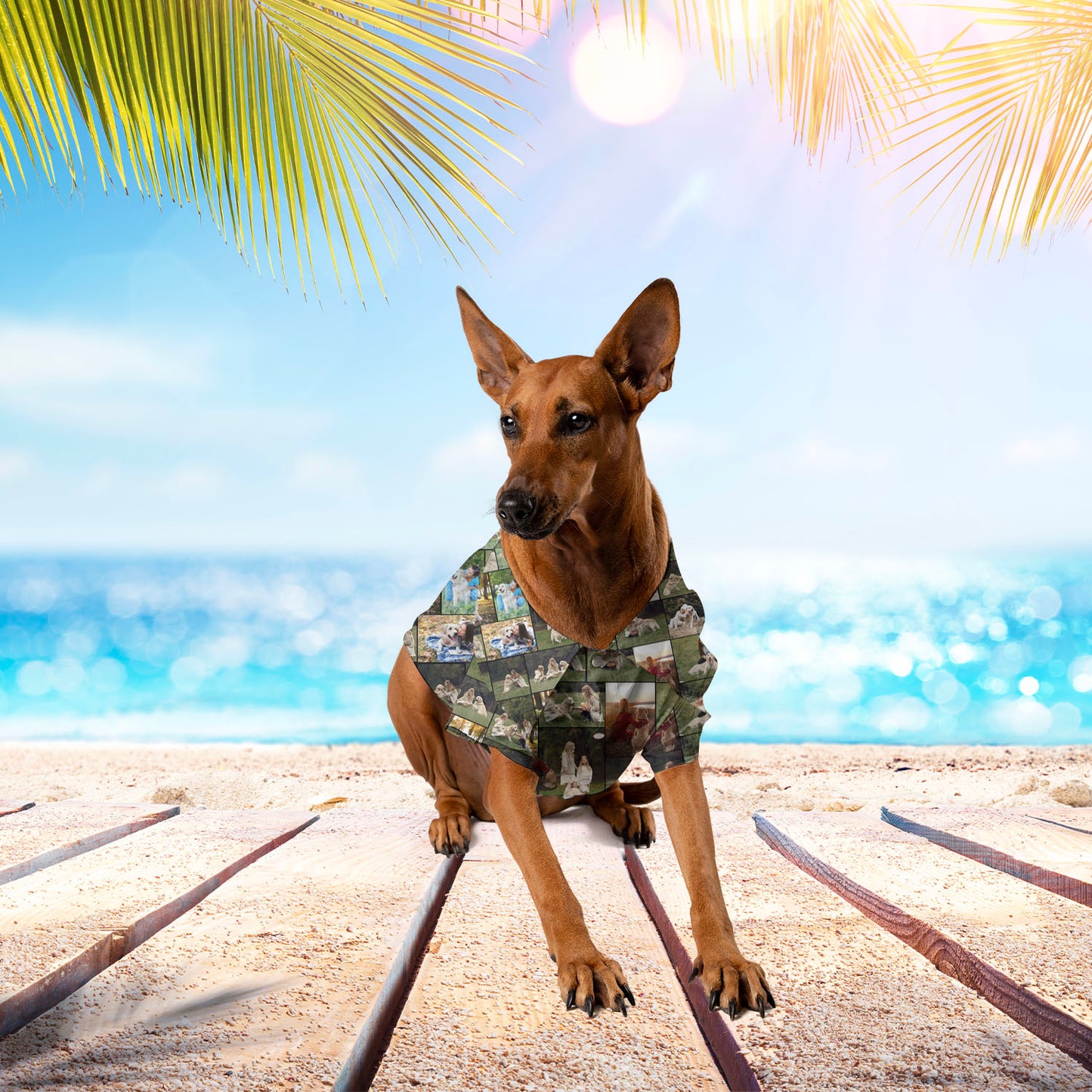 Create Your Own Hawaiian Shirt for Pet Dog Cat with Collage Photo & Text