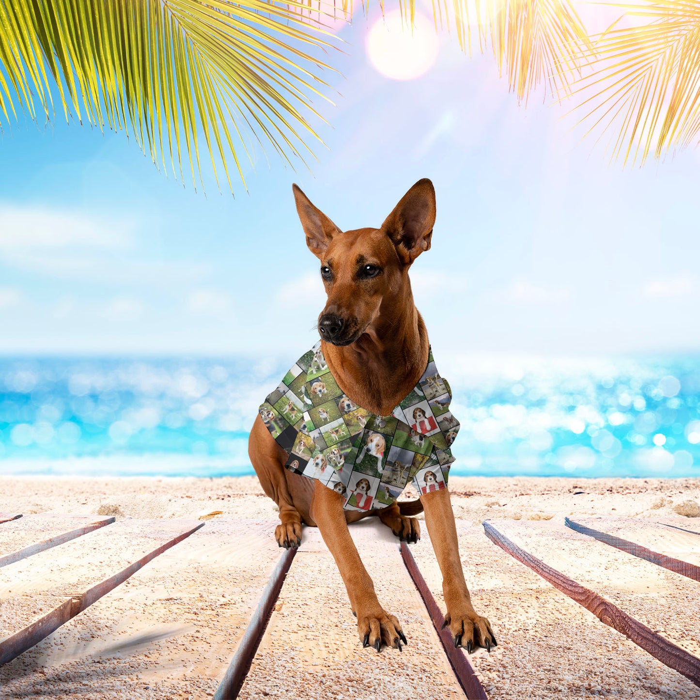 Create Your Own Hawaiian Shirt for Pet Dog Cat with Collage Photo & Text