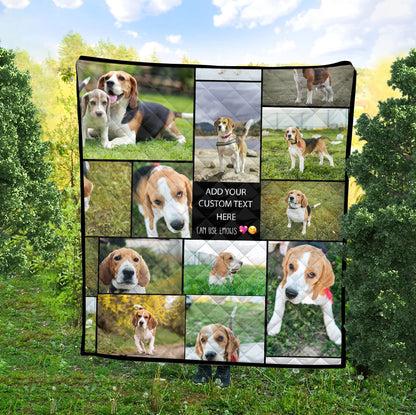 Create a Pet Dog Lovers Gift, Dog Mom Gift with Collage Photo & Text on AOP Quilt